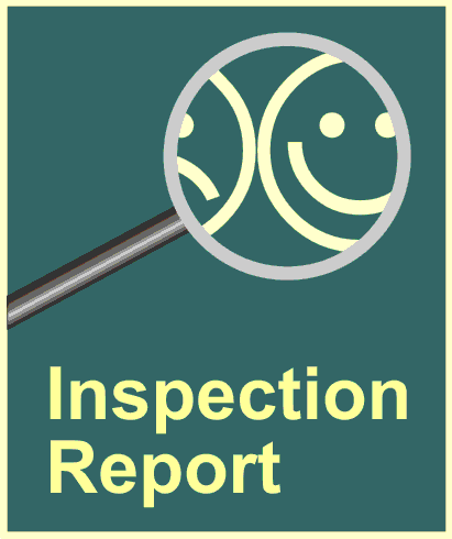 Inspection Report Smiley Logo