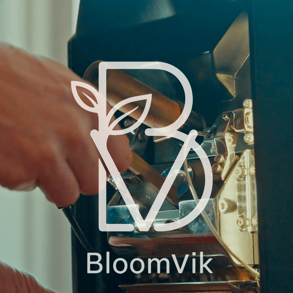BloomVik BV Logo Card