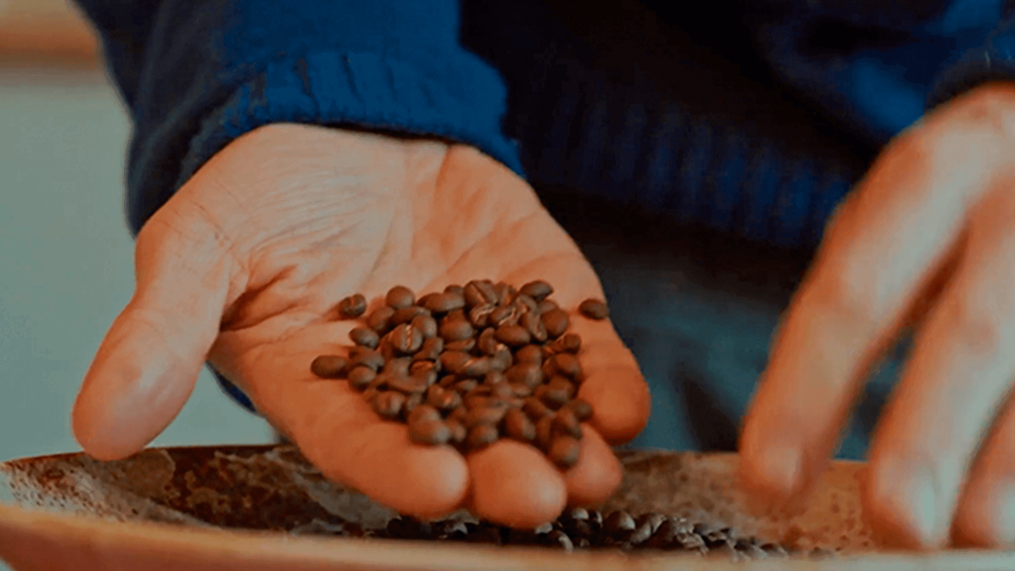 BloomVik Kaffe Udstyr