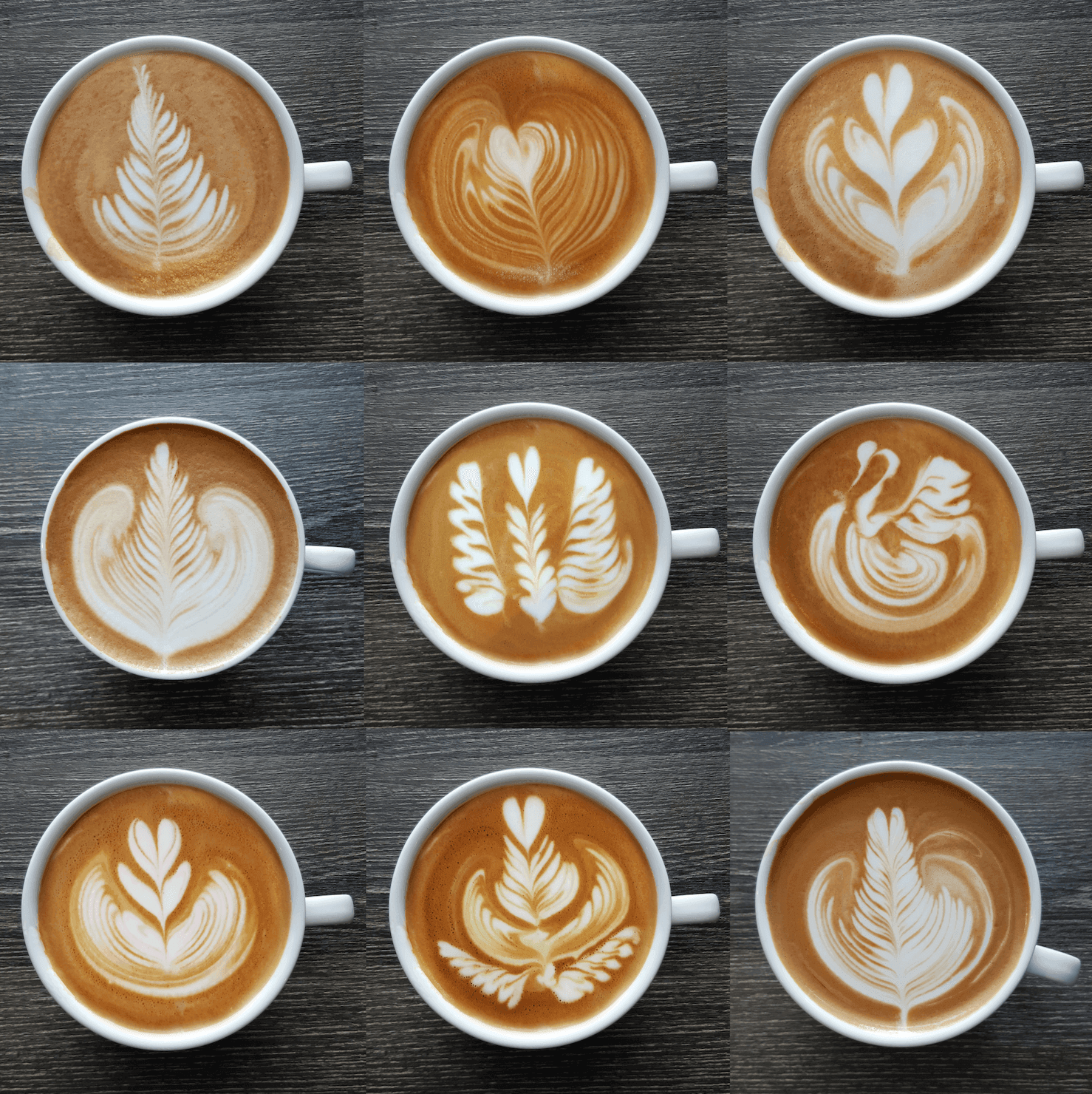 Latte Art Home Roast