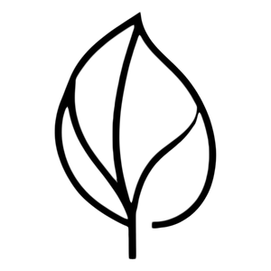 Leaves Denmark - Økologisk og Ceremonial AAA-Grade Matcha hos Home Roast