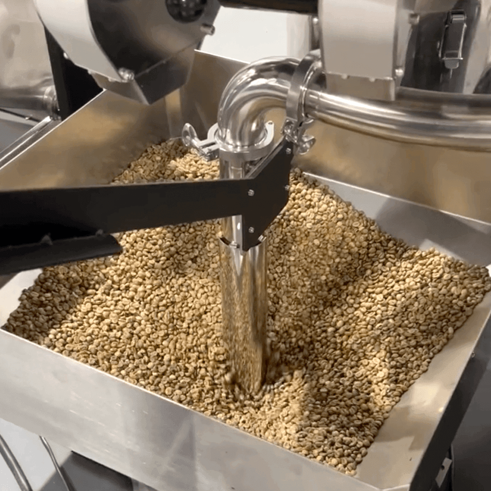 Santoker R30 Kafferister – Industriel 30 kg Kafferister - BloomVik