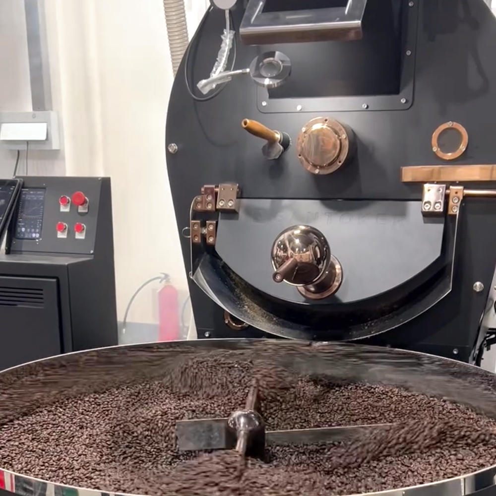 Santoker R30 Kafferister – Industriel 30 kg Kafferister - BloomVik