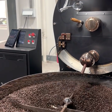 Santoker R30 Kafferister – Industriel 30 kg Kafferister - BloomVik