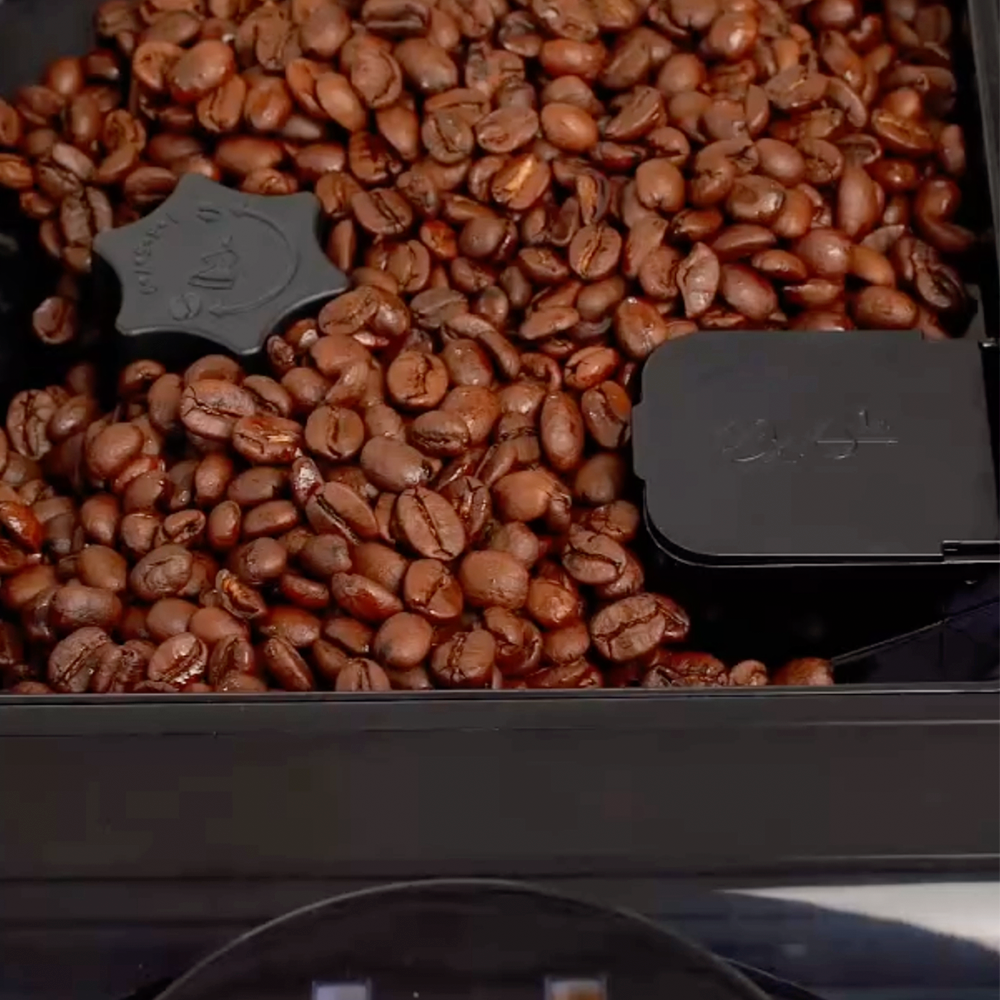 ScandiBloom AutoLuma hos Home Roast