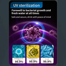 ScandiBloom Pure Hydrogen RO Vandrenser med Omvendt Osmose og Supersatueret Hydrogen hos Home Roast