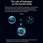 ScandiBloom Pure Hydrogen RO Vandrenser med Omvendt Osmose og Supersatueret Hydrogen hos Home Roast