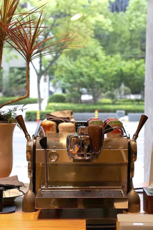 Slayer Espresso Single Group - BloomVik