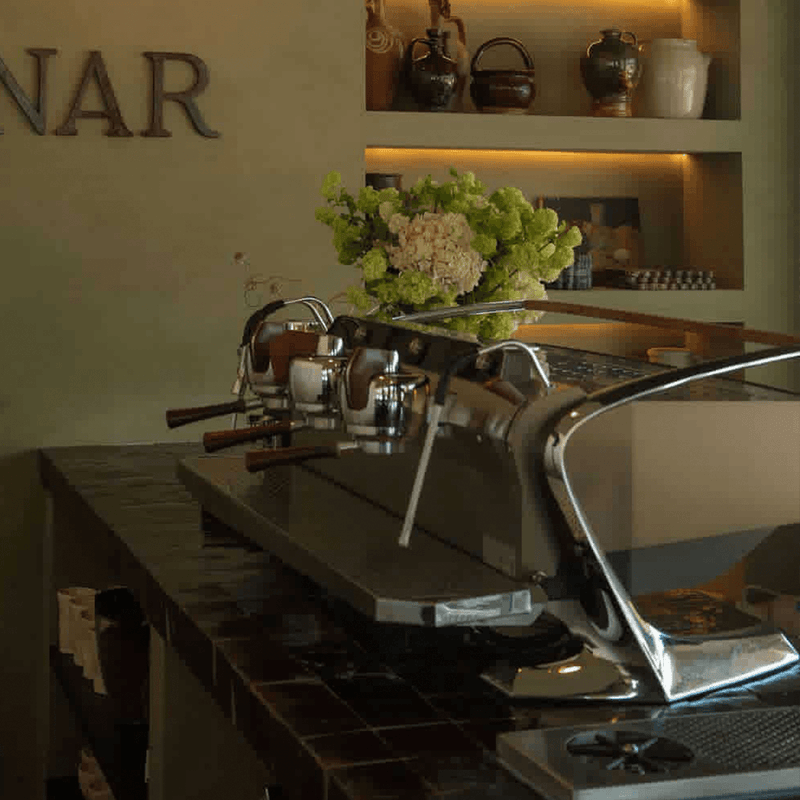 Slayer Steam LP Espressomaskine hos BloomVik