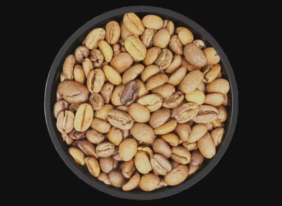 DiFluid Omix Plus hos Home Roast